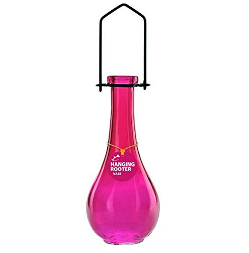 Couronne - Hanging Drop Glass Rooting Vase - Fuchsia