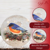 GC - Bluebird Crackle - 6" LED Lighted Crackle Glass Globe