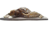 Shayne Greco - 3D Wall Tile - Sea Turtle