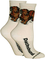 Wheel House Designs Socks - Dachshund (Brown) on Ivory - 9-11