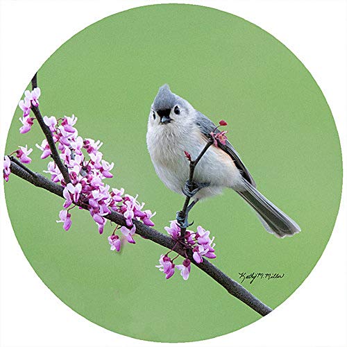 Andrea's Silicone - 8" Non-Slip Trivet - Titmouse Spring