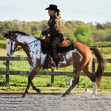 Breyer - Traditional Horse - Truly Unsurpassed