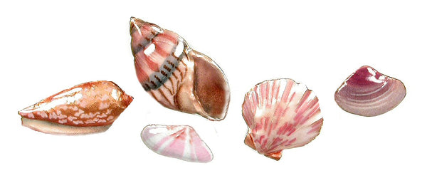 Bovano - Wall Sculpture - 5 Seashells Shells