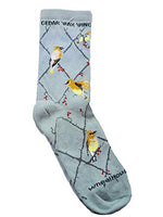 Wheel House Designs Socks - Cedar Wax Wing On Gray - 10-13