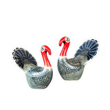 Hannah Turner - Salt & Pepper Shaker Set - Turkey