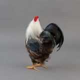 ZUCKER - Rustic Rooster Country Decorations | Farmhouse Decor | 12" White Natural Rooster Statue Figurine