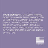 Spa by TropiClean Comfort Dog & Cat Shampoo with Oatmeal White Plum, 16 oz