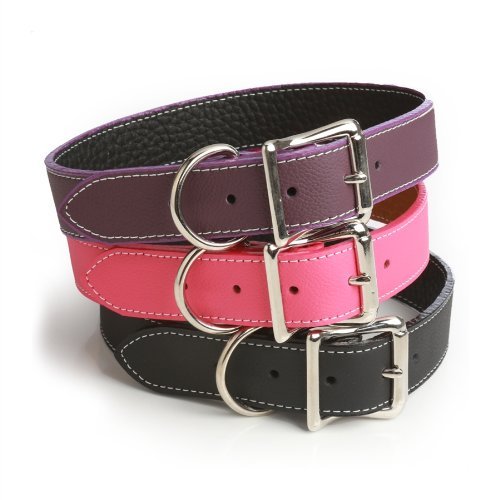 Auburn Leather - Tuscany Pet Collar - 20"-24" - Purple