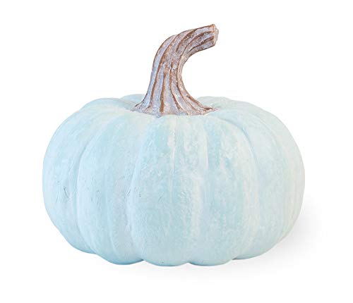 Boston International - Short Chalk Pumpkin - Blue
