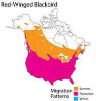 Wild Republic - Audubon - Red Winged Blackbird