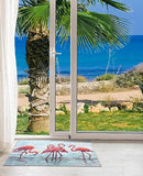 Olivia's Home - 32" x 22" Accent Rug - Tropical Flamingo at Water's Edge