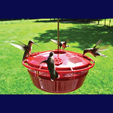 GC - Humm-Yumm - Hummingbird Feeder - Protein Feeder - 8oz