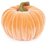 Boston International - Medium Velvet Pumpkin - Orange