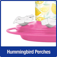 GC - Nature's Way - Decorative Glass Hummingbird Feeder - Lemonade Stand