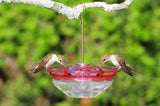 Aspects -4 Oz. Mini Humm Blossom Hummingbird Feeder - Rose