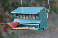 GC - Woodlink Audubon Original Absolute II Squirrel Resistant Feeder
