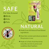 GC - Sapphire Labs - Nectar Fortress Natural Ant Repellent (Single)