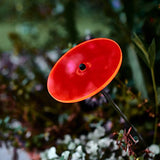 Cazador-del-sol - Suncatcher - Mini Singles - Red