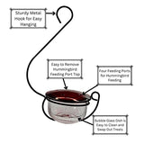 GC - Backyard Essentials - Glass Hummingbird Treat Feeder - (Clear/Red)