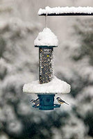 GC - Brome Bird Care - Squirrel Buster Plus - Weatherguard Feeder Attachment