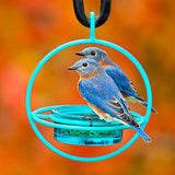 Couronne - Hummble Bold Bird Feeder - Aqua