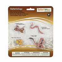 Safari Ltd. - Life Cycle of a Worm