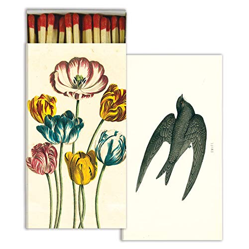 HomArt - Match Box Set of 2 - Variegated Tulips & Swift, Red