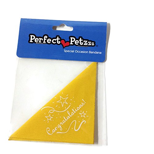 Perfect Petzzz - Special Occasion Bandana - Congratulations