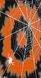 Boston International - Paper Guest Towel 16 Count - Halloween Tie Dye Web