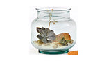 Couronne - 98 oz - Hurricane Glass Container w/ Cork