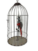 Sugarpost - Metal Sculpture - Large Bird in Bird Cage