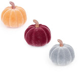 Boston International Decorative Tabletop Velvet Pumpkins, 2-Inches