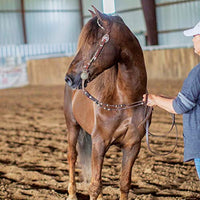 Breyer - Traditional Series -Morgan Quest Native Sun