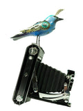 Mullanium - Steampunk Inspired Sculpture - Indigo Bunting on Small Camera