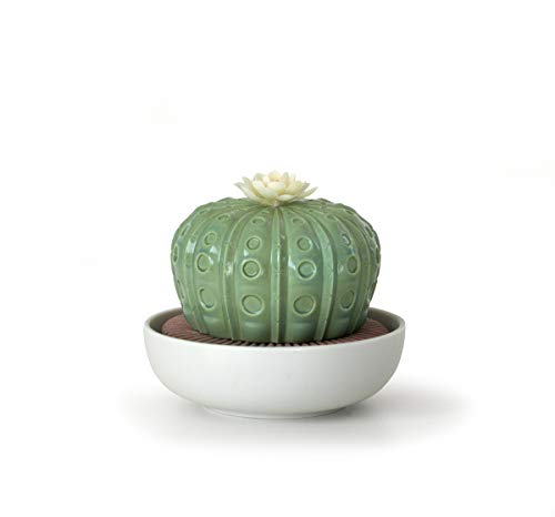 Lladro - Diffuser - Astrophytum Cactus - "Tropical Blossoms" Scent