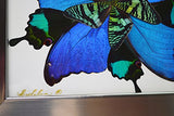 Eydelia - Butterfly Wing Wall Art - Star - Blue & Green