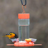 GC - Nature's Way - Orange Blossom Glass Oriole Feeder with Jelly Attachments 30 oz