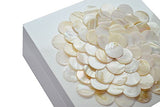 Tozai Home - Trinket Box - Shell Covered - 6" x 6"