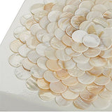 Tozai Home - Trinket Box - Shell Covered - 6" x 6"