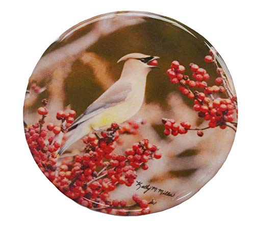 Andrea's Silicone - 6" Non-Slip Jar Opener - Cedar Waxwing