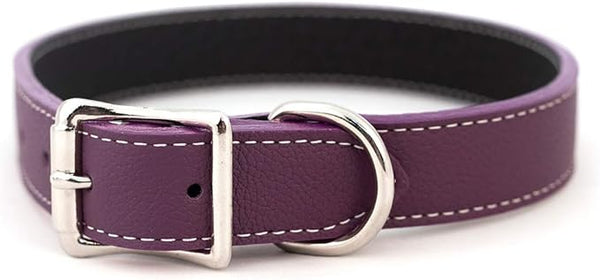 Auburn Leather - Tuscany Pet Collar - 12"-14" - Purple