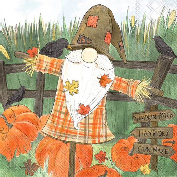 Boston International - 3-Ply 5" Cocktail Napkins 20 Count - Scarecrow Gnome
