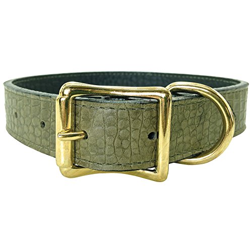 Auburn Leather - Savannah Embossed Pet Collar - 9"-12" - Olive