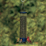 GC - Droll Yankees 28" Squirrel Proof Whipper 4 Port Seed Feeder - Evening Blue