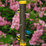 GC - Droll Yankee - 16" Bottoms Up Finch Feeder