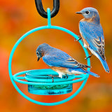 Couronne - Hummble Bold Bird Feeder - Aqua