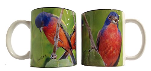 Arundale - Jim Rathert - 11oz. Mug - Red Breasted Bluebirds