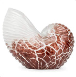 Dynasty Gallery - Glass Figurine - Glass Nautilus