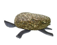 Francis Metal Work - Turtle Medium