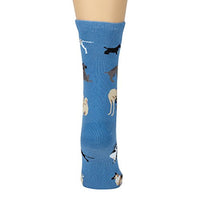 Wheel House Designs Socks - Dogs All Over on Blue - 9-11
